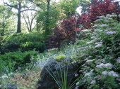 DSC08198.JPG